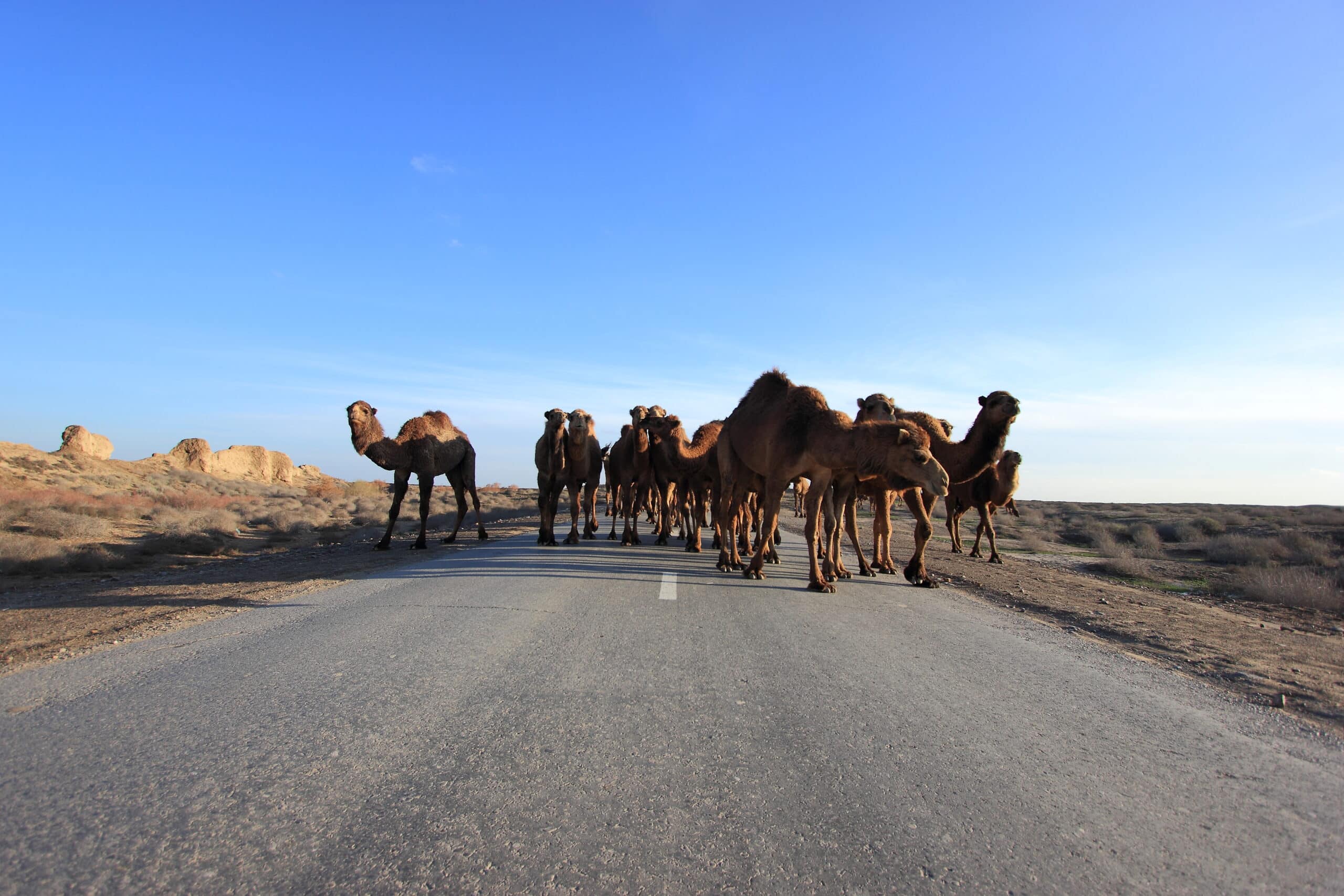 Read more about the article Top 8 Things to do in Turkmenistan