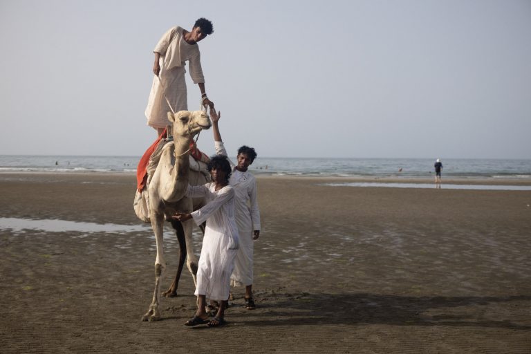 Camels on an Eritrean beach.