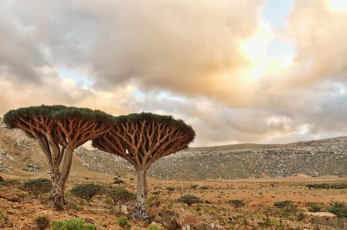 See incredible scenery on our Socotra tours