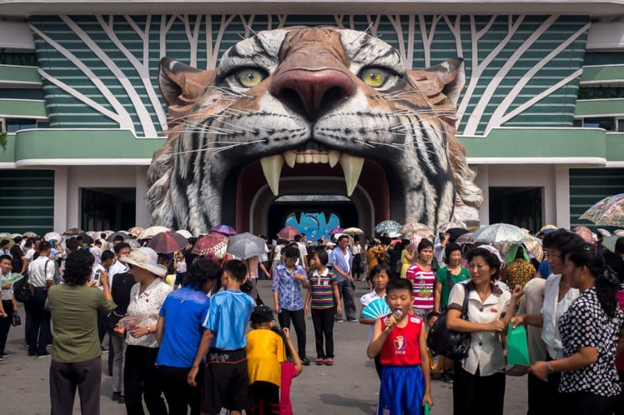 Read more about the article Inside Pyongyang Zoo