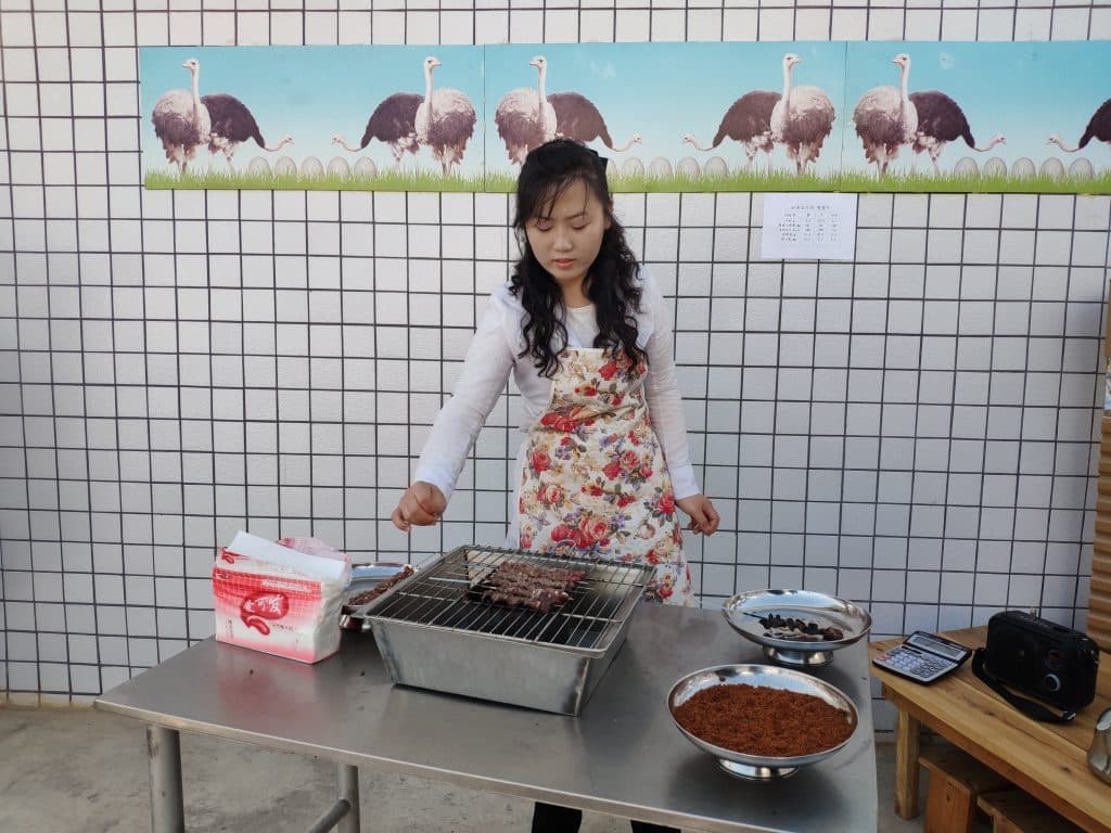 North Korean Ostrich farm
