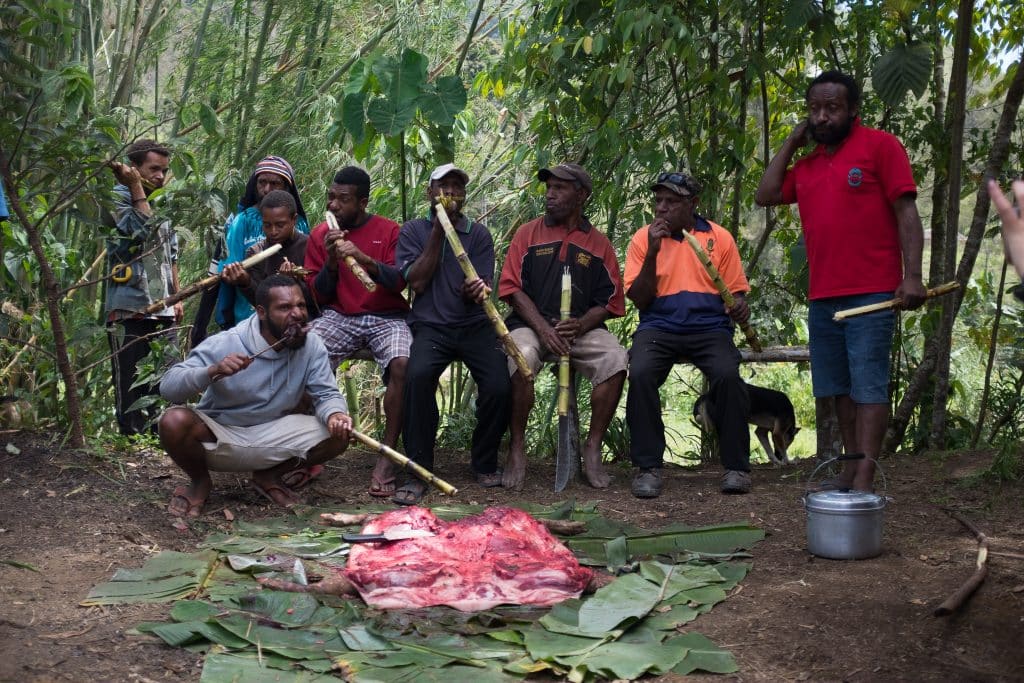Cooking a pig mumu in Papua New Guinea