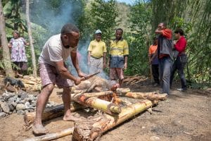 Read more about the article What is a Pig Mumu?