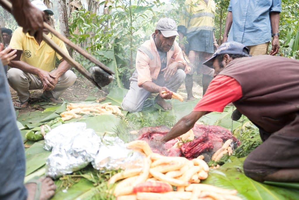 Adding the hot rocks to the pig mumu hole in the ground