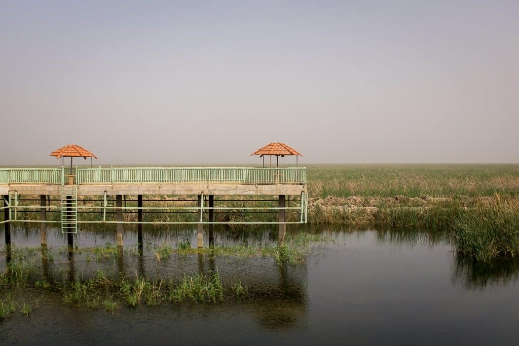 the Mesopotamian Marshes of Iraq