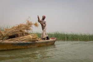 Read more about the article Exploring The Mesopotamian Marshes of Iraq