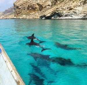 Read more about the article Things To Do On Socotra Island