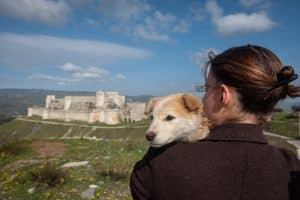 Read more about the article Top 6 Tourist Attractions of Syria
