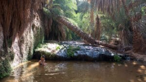 Read more about the article Is it safe to travel to Mauritania?